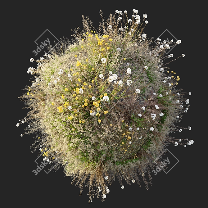 Lush Meadow Scene Set 3D model image 4