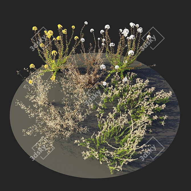 Lush Meadow Scene Set 3D model image 5