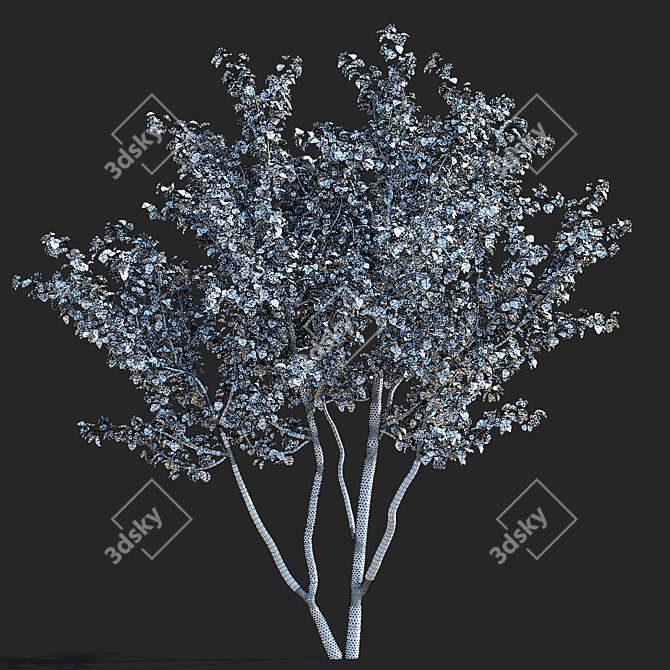 Paul's Scarlet Hawthorn Tree Models 3D model image 5