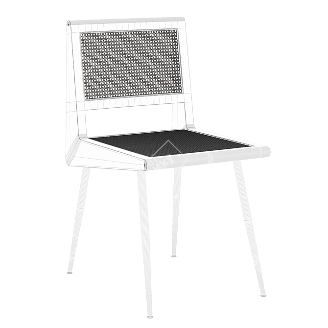 Rattan Dining Chair, Metal Legs 3D model image 6