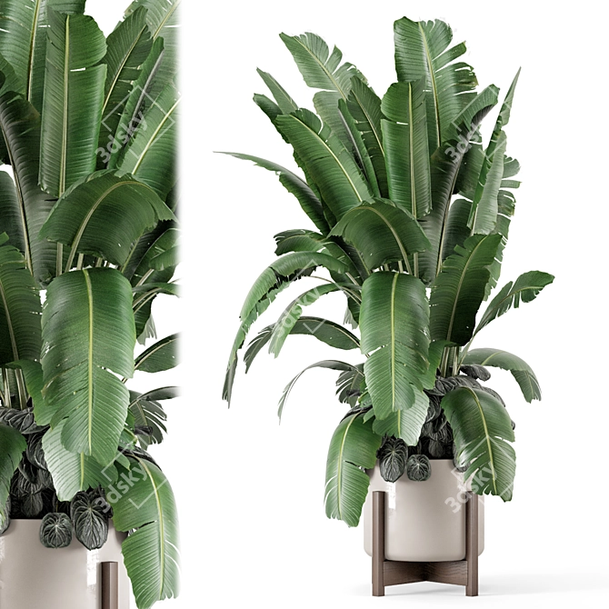 Rusty Concrete Pot Indoor Plants 3D model image 2