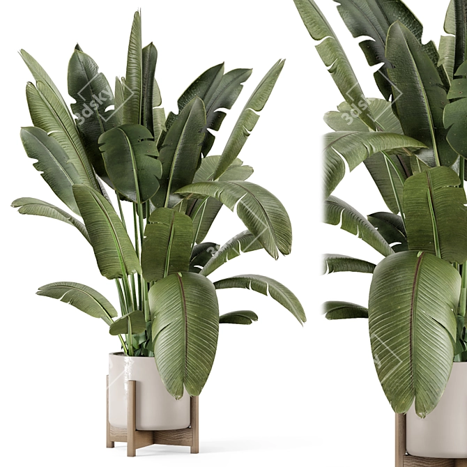 Rustic Indoor Plants Set 2315 3D model image 1