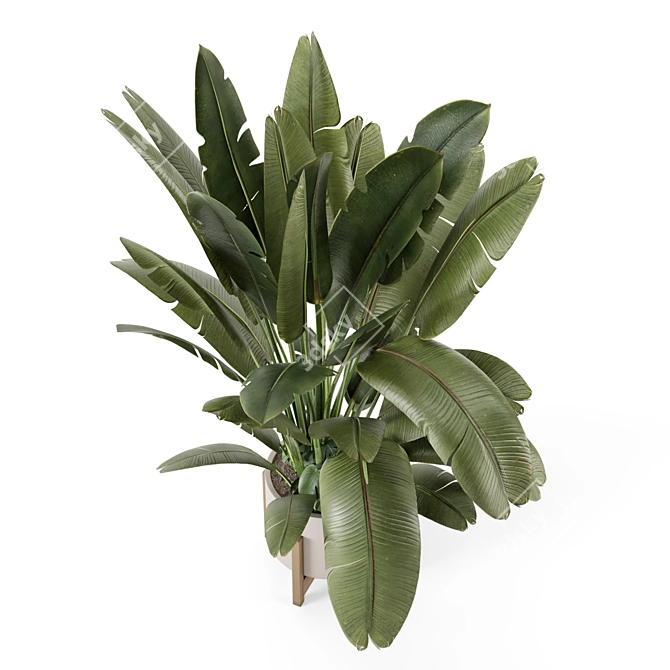 Rustic Indoor Plants Set 2315 3D model image 2