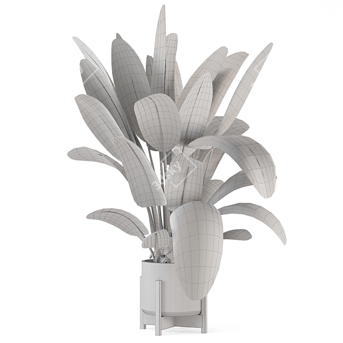 Rustic Indoor Plants Set 2315 3D model image 4