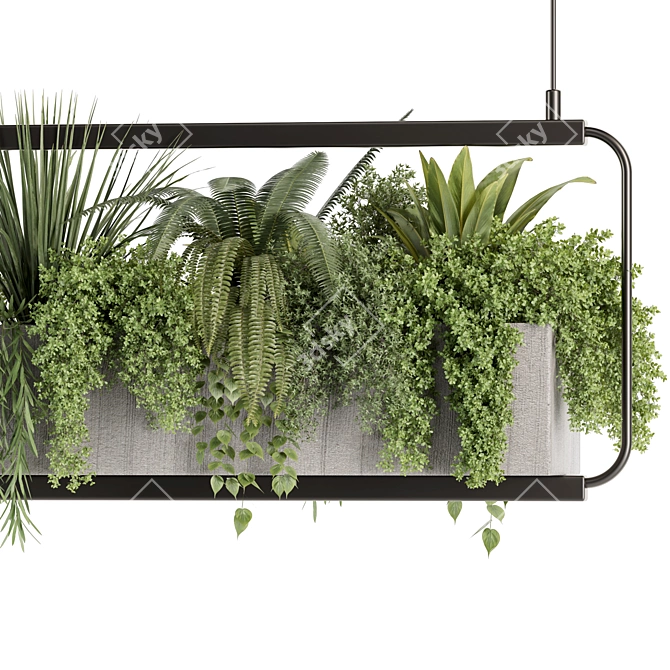 Premium Hanging Indoor Plants Set 3D model image 2
