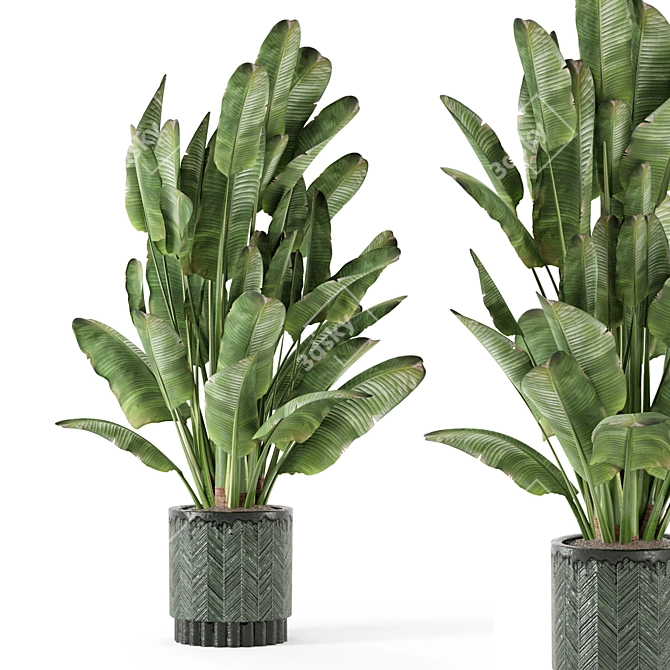 Rusty Concrete Pot Indoor Plants 3D model image 1