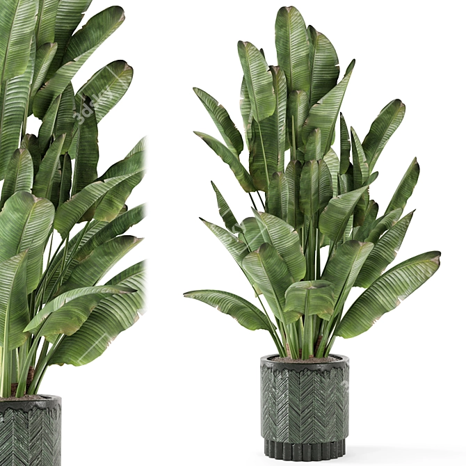 Rusty Concrete Pot Indoor Plants 3D model image 2