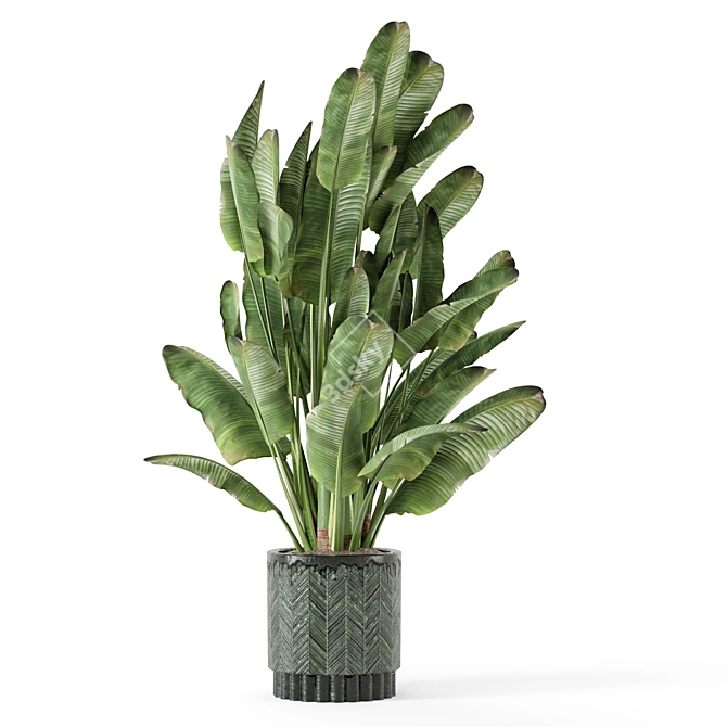 Rusty Concrete Pot Indoor Plants 3D model image 3