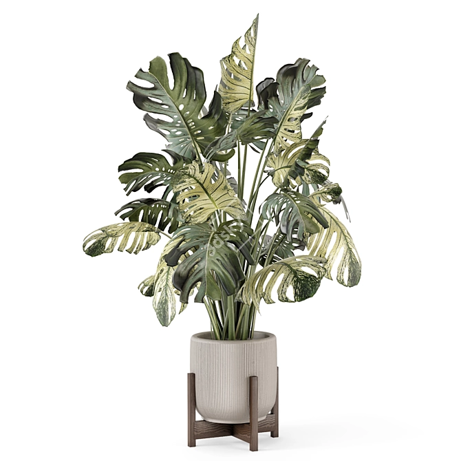 Handcrafted Stone Pot Indoor Plants 3D model image 3