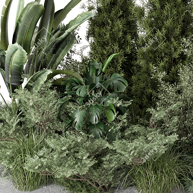 Outdoor Garden Set Bush and Tree 3D model image 4