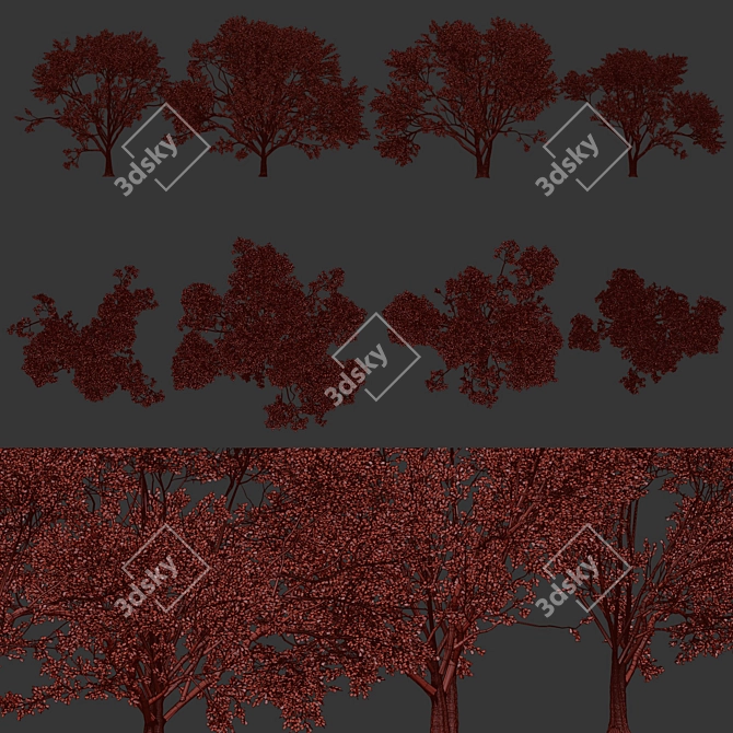 Russian Birch Tree Pack Vol 44 3D model image 7