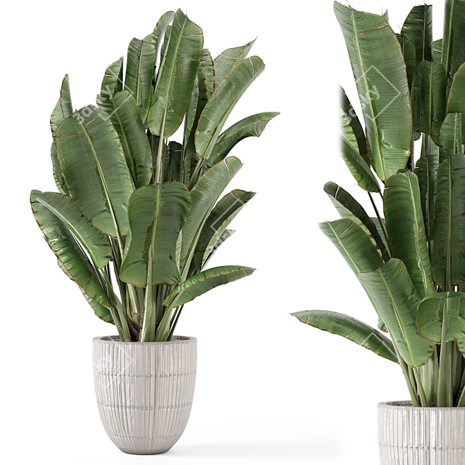 Title: Rusty Concrete Pot Indoor Plants 3D model image 1