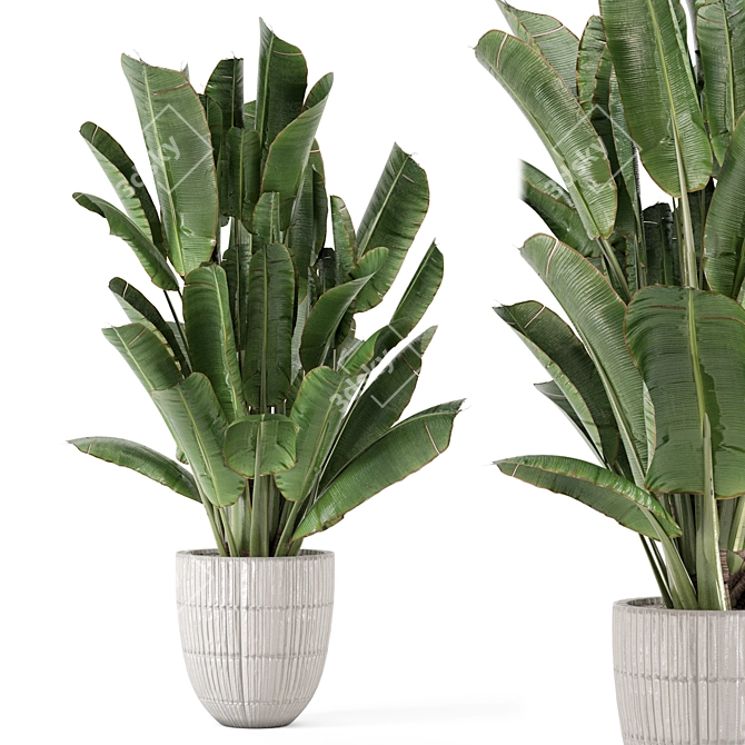 Title: Rusty Concrete Pot Indoor Plants 3D model image 2