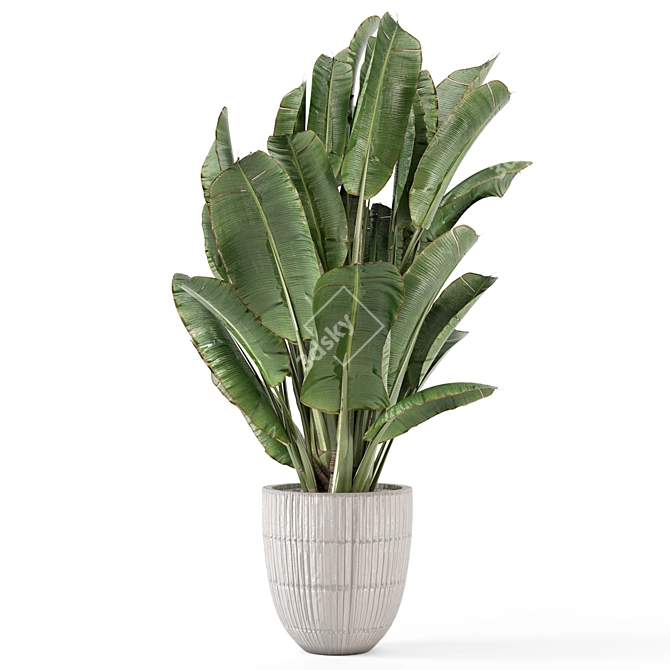Title: Rusty Concrete Pot Indoor Plants 3D model image 3