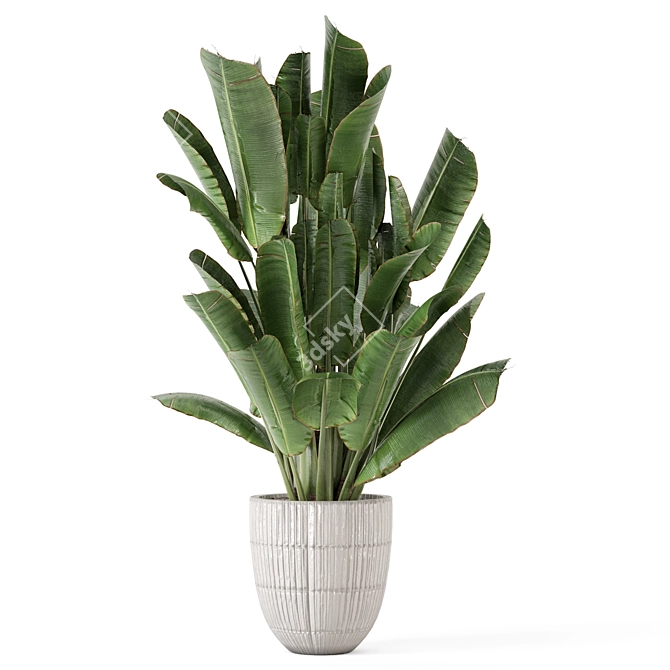 Title: Rusty Concrete Pot Indoor Plants 3D model image 4