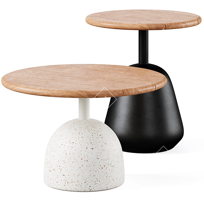 Saura Coffee Table by La Forma 3D model image 1