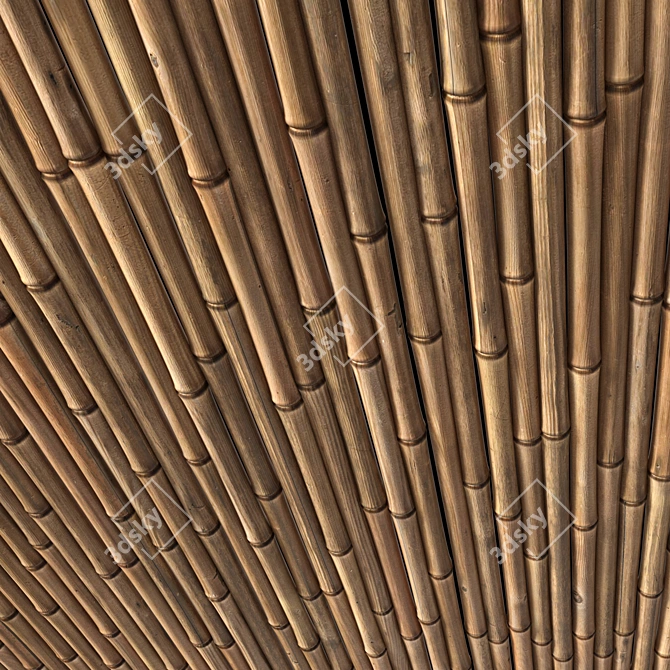 Bamboo Texture 3D Model Kit 3D model image 3