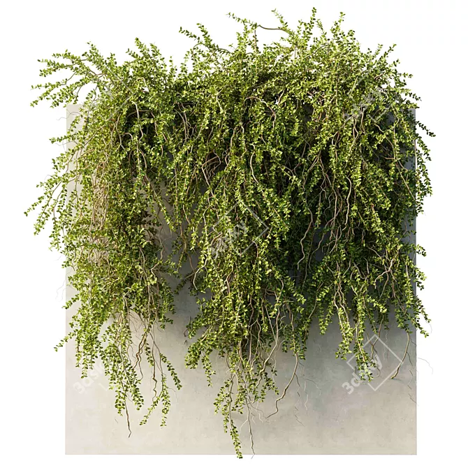 Outdoor Hanging Plant Collection 3D model image 1