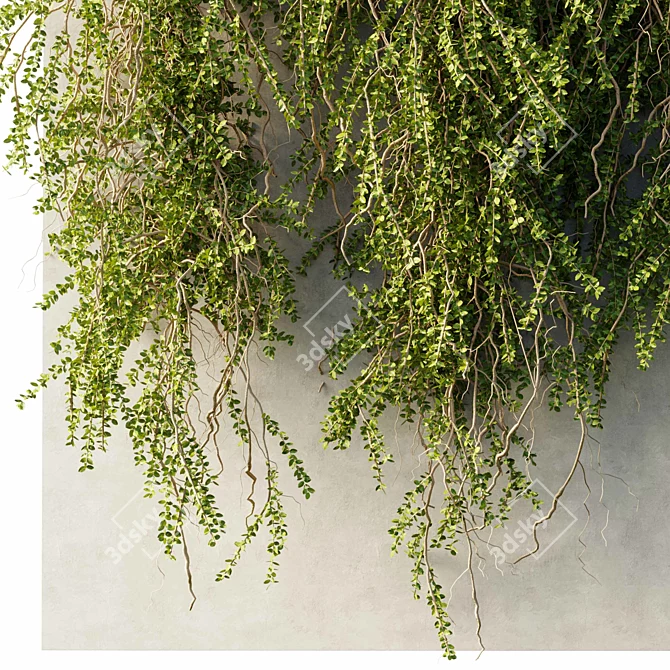 Outdoor Hanging Plant Collection 3D model image 3