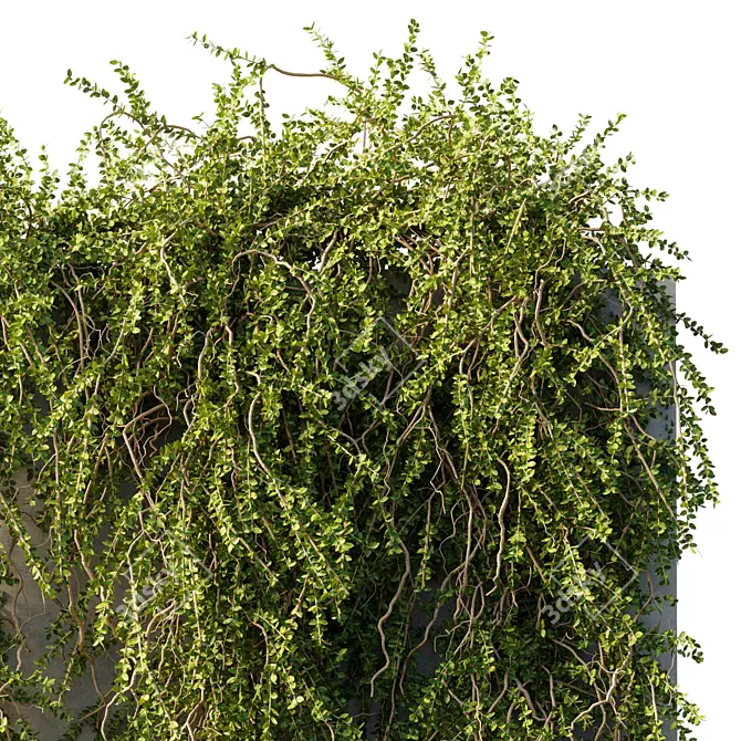 Outdoor Hanging Plant Collection 3D model image 4