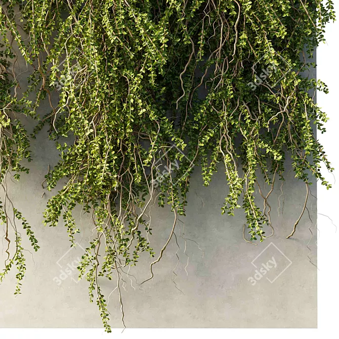 Outdoor Hanging Plant Collection 3D model image 5