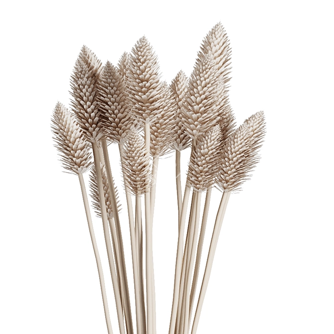 Pampas Bouquet Vase Set48 2016 3D model image 3