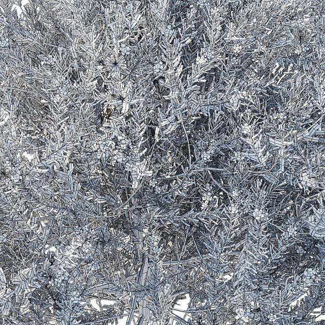 Eremophila Nivea Model 3D Rendering 3D model image 4