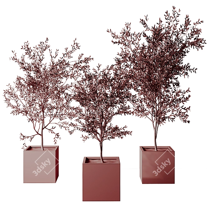 Realistic Olive Tree 3D Model 3D model image 5