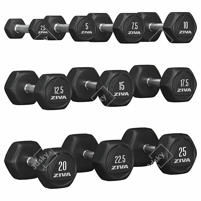 Hex Dumbbell Rack Storage Organizer 3D model image 6