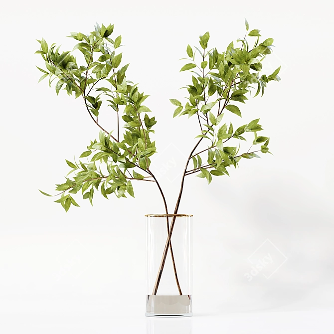 Premium Indoor Plant Collection 3D 3D model image 5