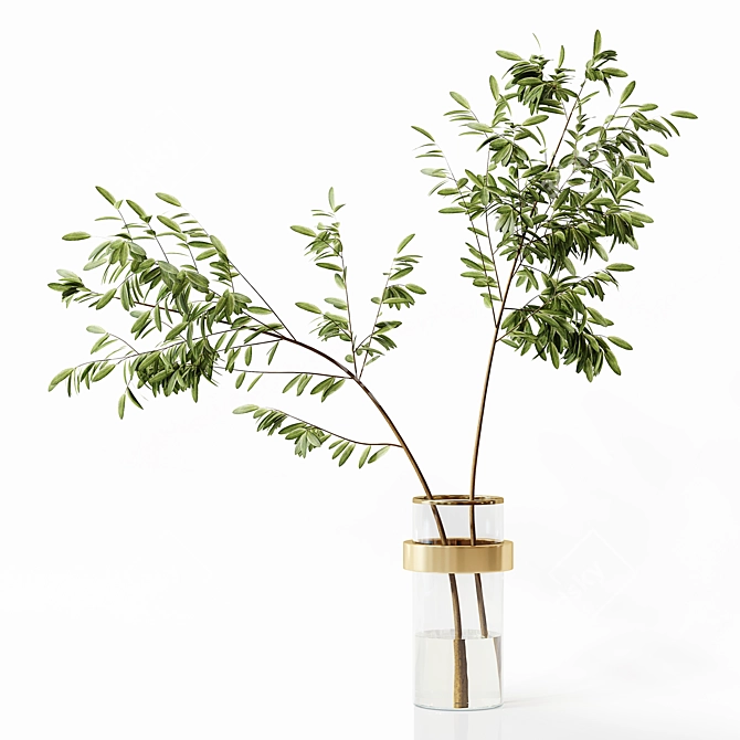 Premium Indoor Plant Collection 3D 3D model image 7