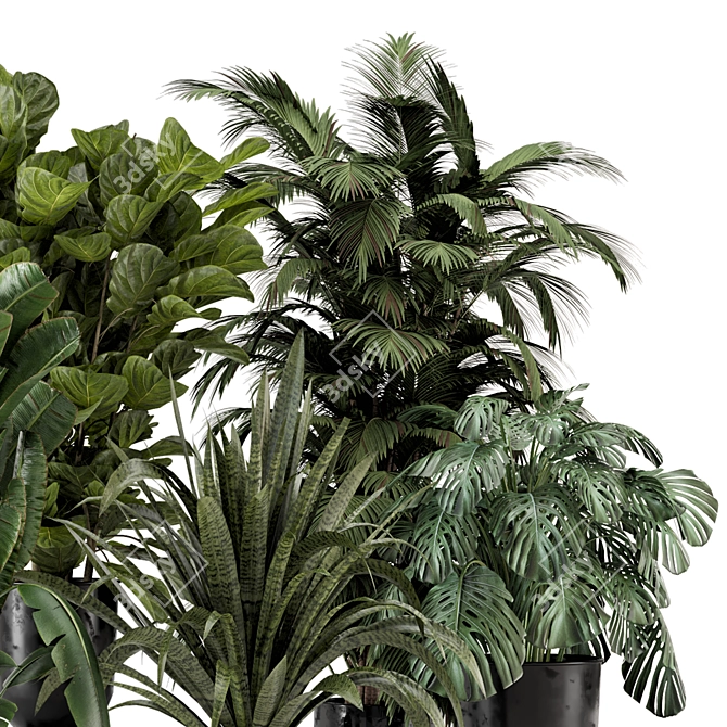 Modern Indoor Plants Set 2334 3D model image 4