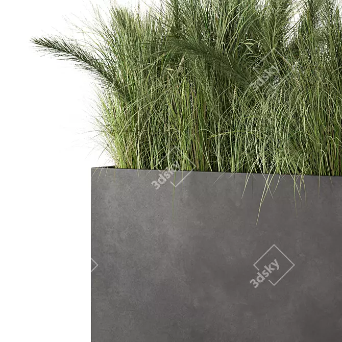 Premium Green Grass Plant Set 3D model image 2