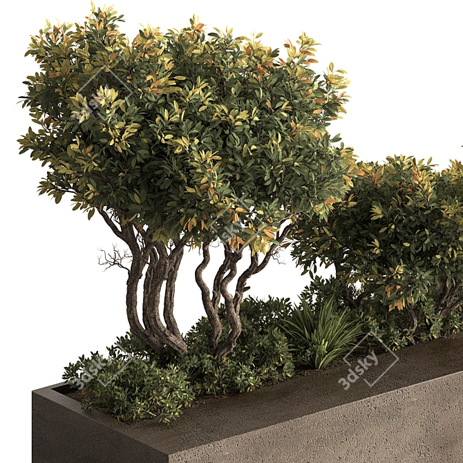  635 Outdoor Plant Box 3D model image 2