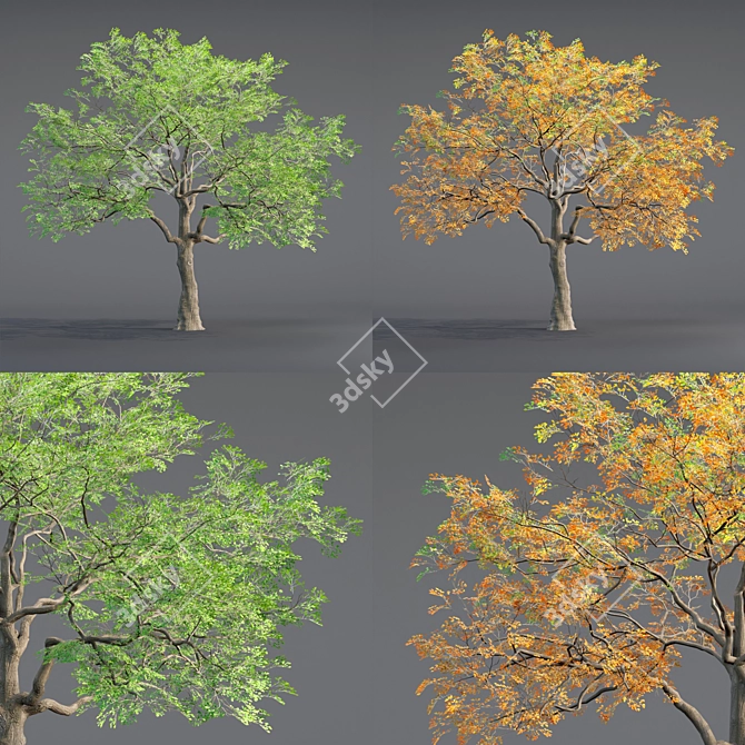  Low Poly Oak Tree Collection 3D model image 4