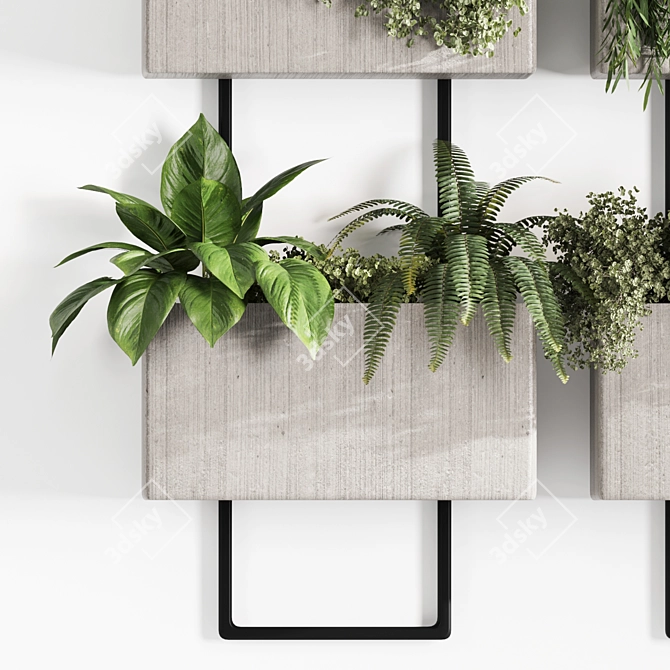 High-Quality Indoor Hanging Plant Set 3D model image 3