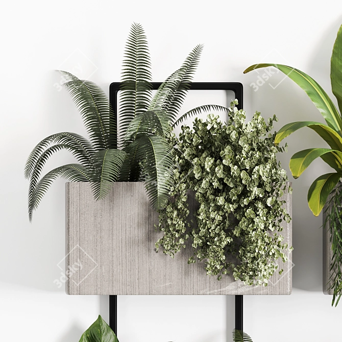High-Quality Indoor Hanging Plant Set 3D model image 6