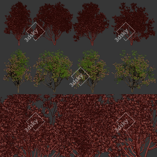Premium Bottlebrush Bush Collection Vol.48 3D model image 9