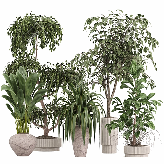  Modern Indoor Plant Set 3D model image 1