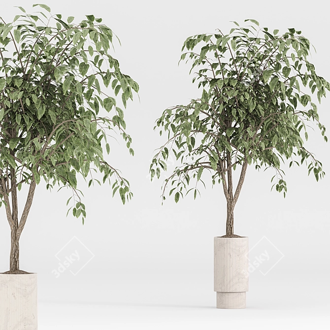  Modern Indoor Plant Set 3D model image 3