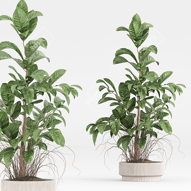  Modern Indoor Plant Set 3D model image 4