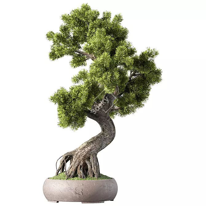 Bonsai Tree Set, 162 Miniatures 3D model image 1