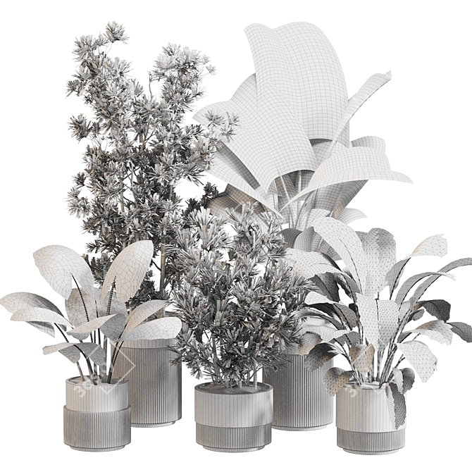 Greenery Oasis Plant Set 3D model image 5