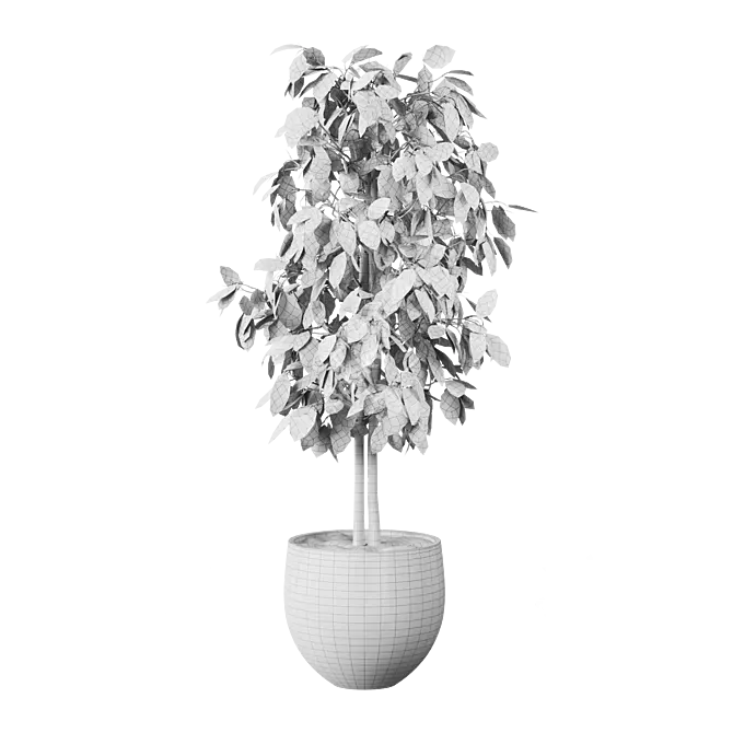 Potted Indoor Plant 3D Model 3D model image 3