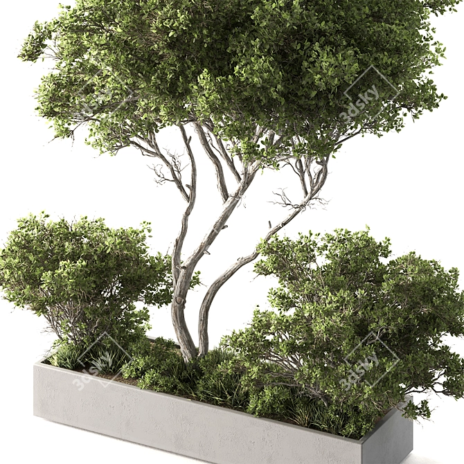 Outdoor Plant Box 633 3D model image 2