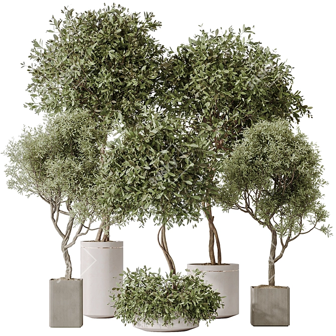 Elegant Artificial Olive Tree Set 3D model image 1