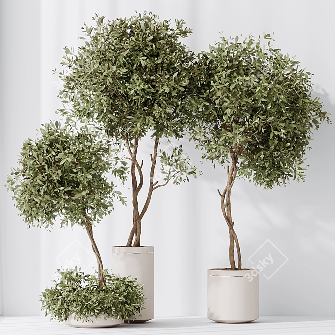 Elegant Artificial Olive Tree Set 3D model image 3