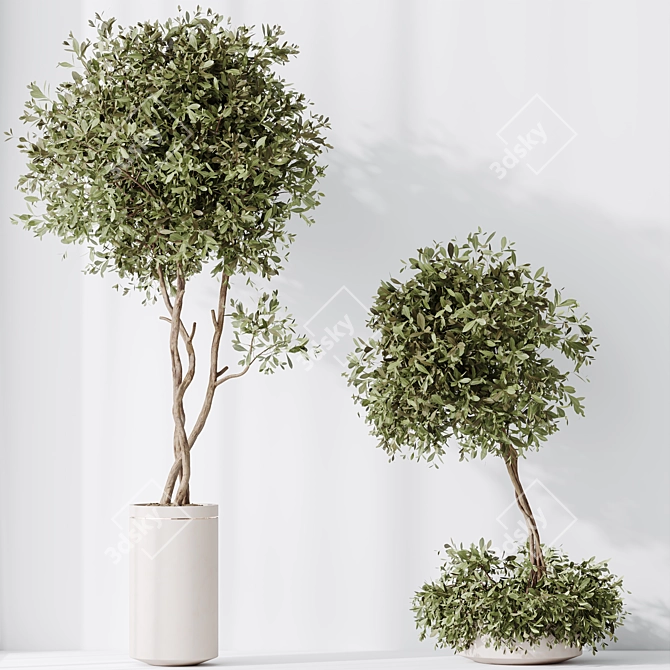 Elegant Artificial Olive Tree Set 3D model image 5