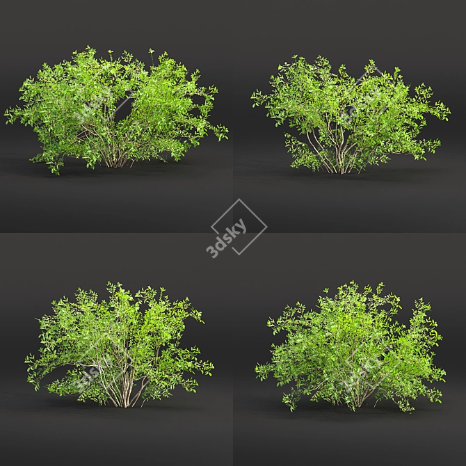 Volume 30 Low Poly Bushes 3D model image 2