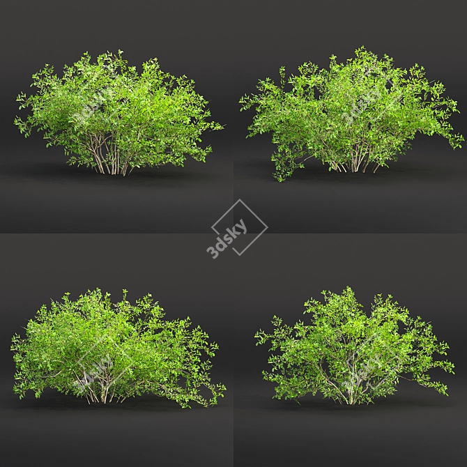Volume 30 Low Poly Bushes 3D model image 3